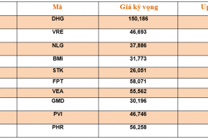 Danh mục cơ bản