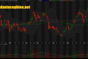 Đồ thị cổ phiếu MWG phiên giao dịch ngày 21/06/2019. Nguồn: AmiBroker