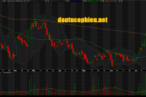 Đồ thị cổ phiếu BMP phiên giao dịch ngày 24/07/2019. Nguồn: AmiBroker