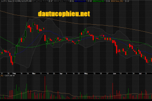 Đồ thị cổ phiếu HPG phiên giao dịch ngày 25/07/2019. Nguồn: AmiBroker
