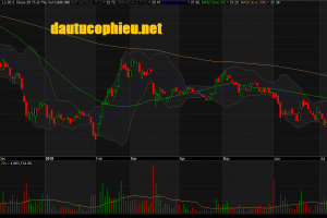 Đồ thị cổ phiếu HPG phiên giao dịch ngày 22/07/2019. Nguồn: AmiBroker