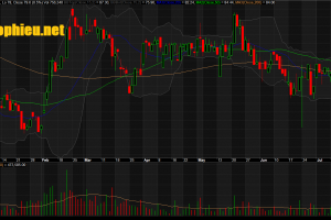 Đồ thị cổ phiếu MSN phiên giao dịch ngày 23/07/2019. Nguồn: AmiBroker