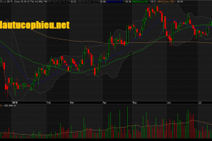 Đồ thị cổ phiếu NLG phiên giao dịch ngày 29/07/2019. Nguồn: AmiBroker