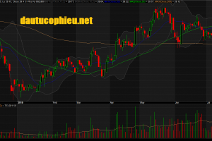 Đồ thị cổ phiếu NLG phiên giao dịch ngày 19/07/2019. Nguồn: AmiBroker