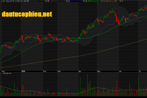 Đồ thị cổ phiếu NTL phiên giao dịch ngày 31/07/2019. Nguồn: AmiBroker