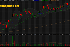 Đồ thị cổ phiếu STK phiên giao dịch ngày 30/07/2019. Nguồn: AmiBroker