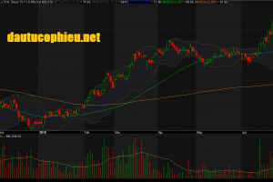 Đồ thị cổ phiếu VCB phiên giao dịch ngày 12/07/2019. Nguồn: AmiBroker