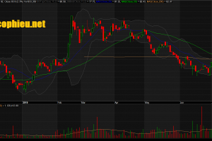 Đồ thị cổ phiếu VHM phiên giao dịch ngày 16/07/2019. Nguồn: AmiBroker