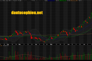 Đồ thị cổ phiếu MWG phiên giao dịch ngày 02/07/2019. Nguồn: AmiBroker