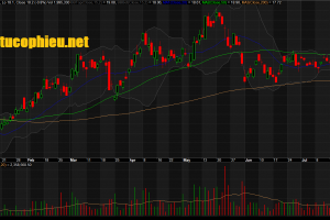 Đồ thị cổ phiếu PVD phiên giao dịch ngày 29/07/2019. Nguồn: AmiBroker