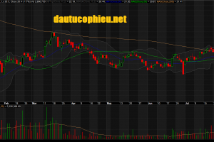 Đồ thị cổ phiếu CTG phiên giao dịch ngày 01/08/2019. Nguồn: AmiBroker