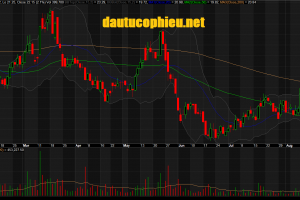 Đồ thị cổ phiếu DRC phiên giao dịch ngày 28/08/2019. Nguồn: AmiBroker