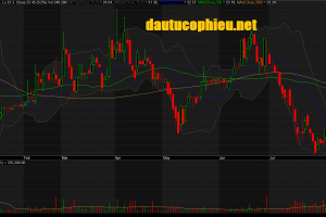 Đồ thị cổ phiếu KDH phiên giao dịch ngày 14/08/2019. Nguồn: AmiBroker