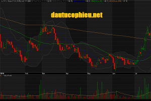 Đồ thị cổ phiếu BMP phiên giao dịch ngày 29/08/2019. Nguồn: AmiBroker