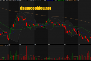 Đồ thị cổ phiếu HPG phiên giao dịch ngày 06/08/2019. Nguồn: AmiBroker