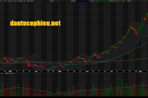 Đồ thị cổ phiếu MWG phiên giao dịch ngày 28/08/2019. Nguồn: AmiBroker