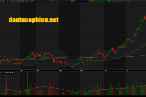 Đồ thị cổ phiếu MWG phiên giao dịch ngày 12/08/2019. Nguồn: AmiBroker