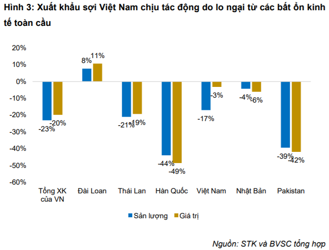 Cập nhật cổ phiếu STK - Chiến tranh thương mại ảnh hưởng tốc độ tăng trưởng KQKD 2019