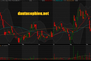 Đồ thị cổ phiếu GMD phiên giao dịch ngày 25/09/2019. Nguồn: AmiBroker