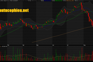 Đồ thị cổ phiếu VEA phiên giao dịch ngày 04/09/2019. Nguồn: AmiBroker