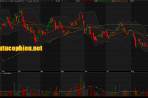Đồ thị cổ phiếu VHC phiên giao dịch ngày 10/09/2019. Nguồn: AmiBroker