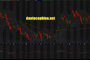 Cập nhật cổ phiếu BMP – Ước tính KQKD 9 tháng