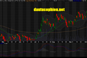 Cập nhật cổ phiếu BMP - Khuyến Nghị tăng tỷ trọng
