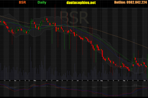 Cập nhật cổ phiếu BSR - LNST trong 9 tháng đầu năm 2019 giảm 71,9% so với cùng kỳ