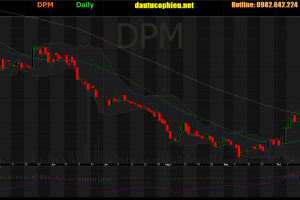 Cập nhật cổ phiếu DPM - LNST 9 tháng năm 2019 giảm 73,9% so với cùng kỳ