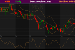 Cập nhật cổ phiếu MSN - Hoàn tất bán 1,7 triệu cổ phần thứ cấp của MML