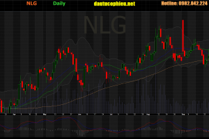 Cập nhật cổ phiếu PPC - Công bố LNST tăng 18% so với cùng ký năm ngoái
