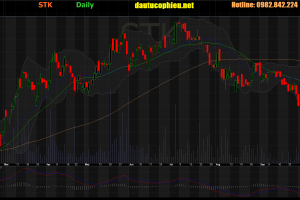 Cập nhật cổ phiếu STK - LNST 9 tháng năm 20 19 tăng 23% so với cùng kỳ