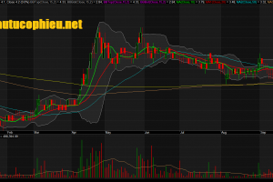 Đồ thị cổ phiếu TIG phiên giao dịch ngày 01/10/2019. Nguồn: AmiBroker