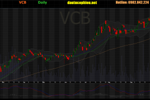 Cập nhật cổ phiếu VCB - LNST 9 tháng năm 2019 tăng 50,7% so với cùng kỳ