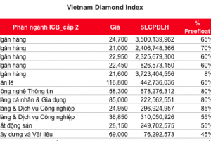 Vietnam Diamond Index 2019-11-15 at 8.41.21 AM