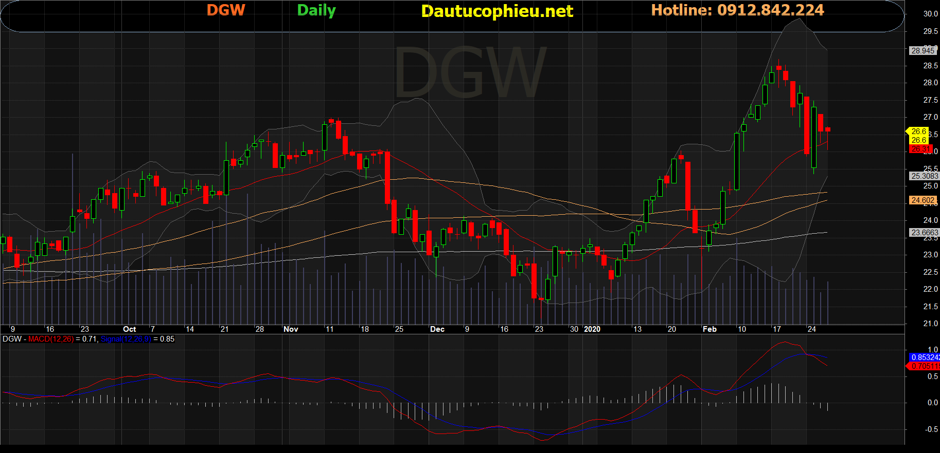 Cổ phiếu DGW