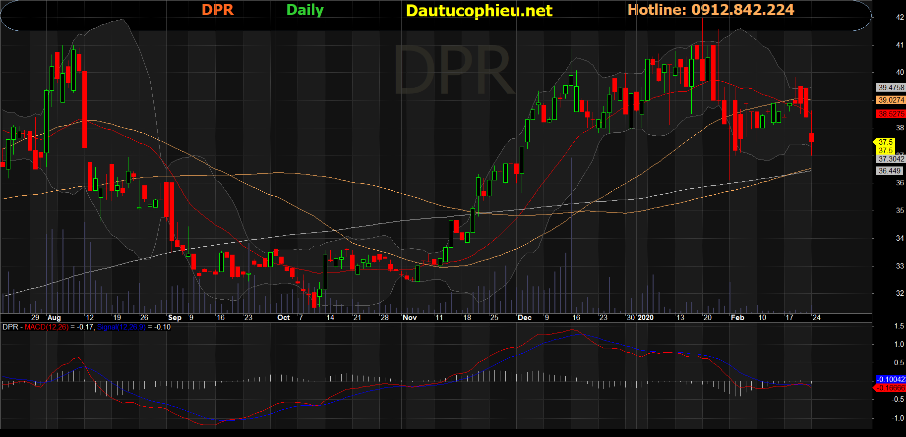 Cổ phiếu DPR-24-02-2020