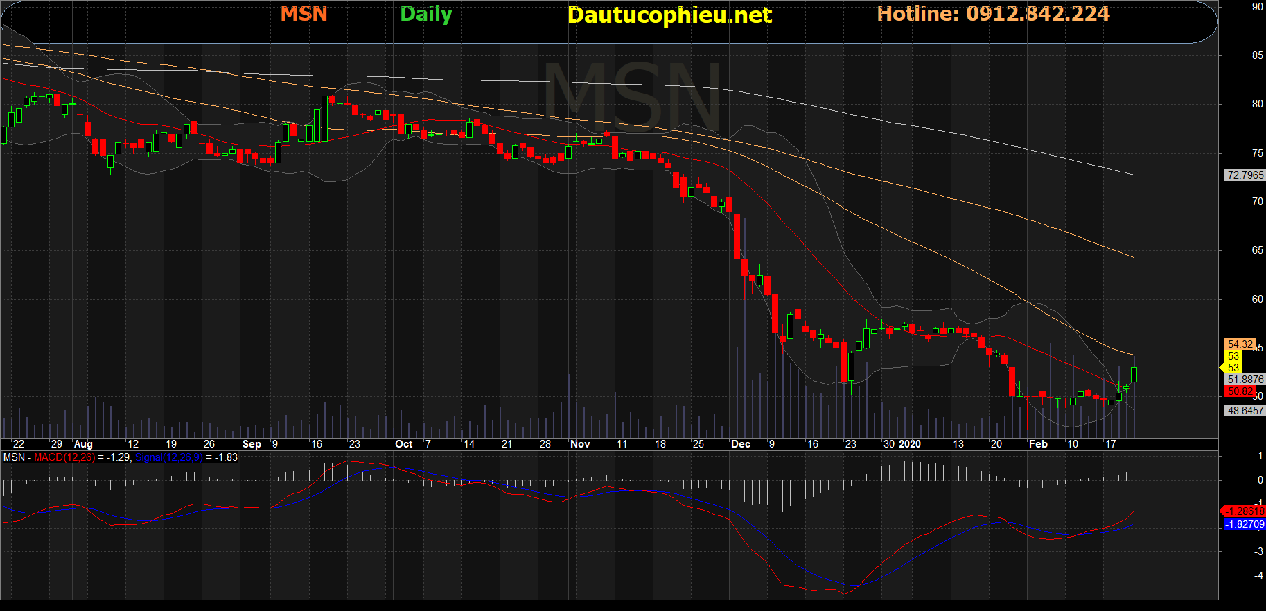 Cổ phiếu MSN-21-02-2020
