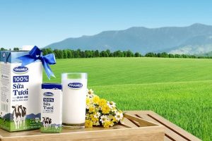 Cập nhật cổ phiếu VNM - Lợi nhuận năm 2019 thấp hơn so với dự báo
