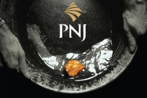 Cập nhật cổ phiếu PNJ - Động lực tăng trưởng chậm lại do dịch Covid 19