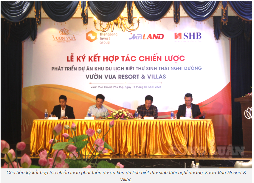 Cổ phiếu TIG