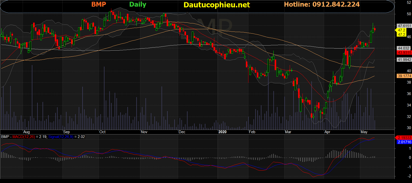 Cổ phiếu BMP