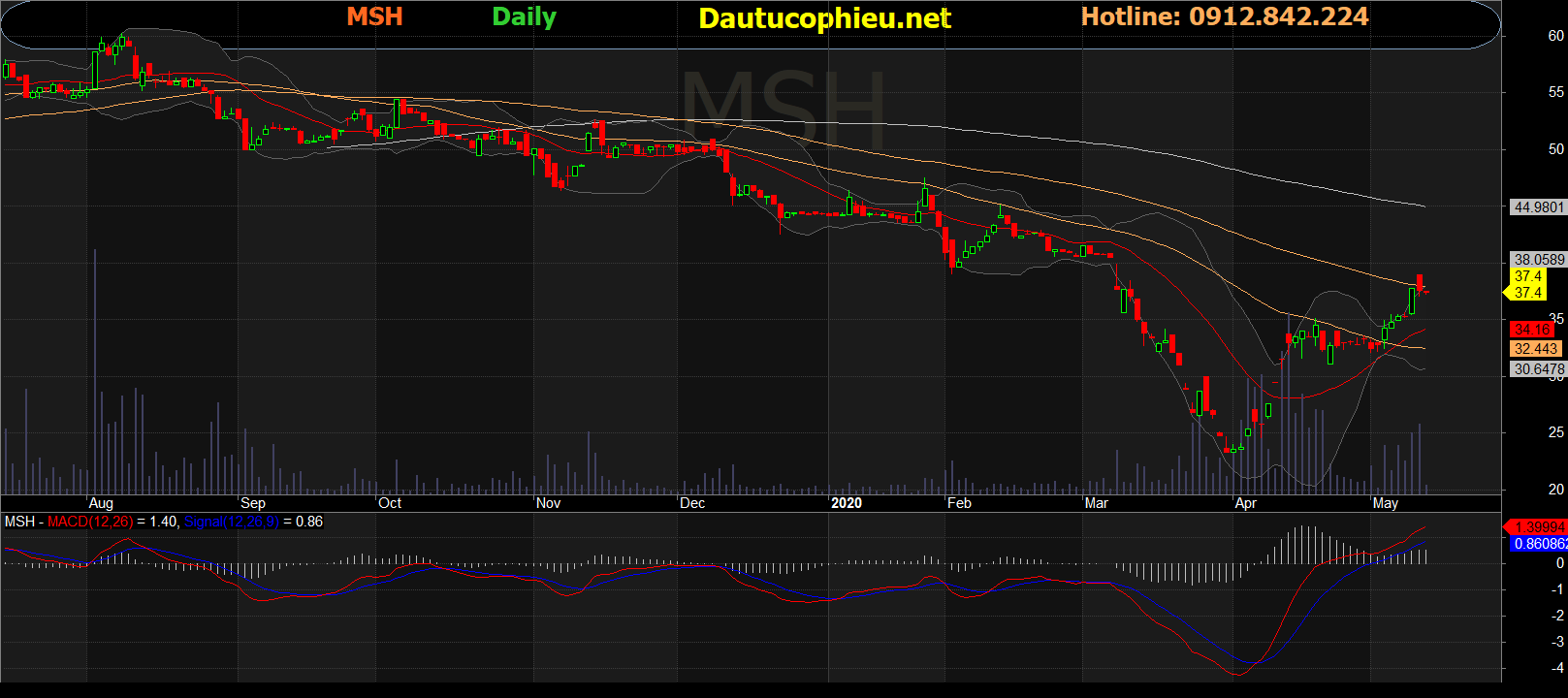 Cổ phiếu MSH