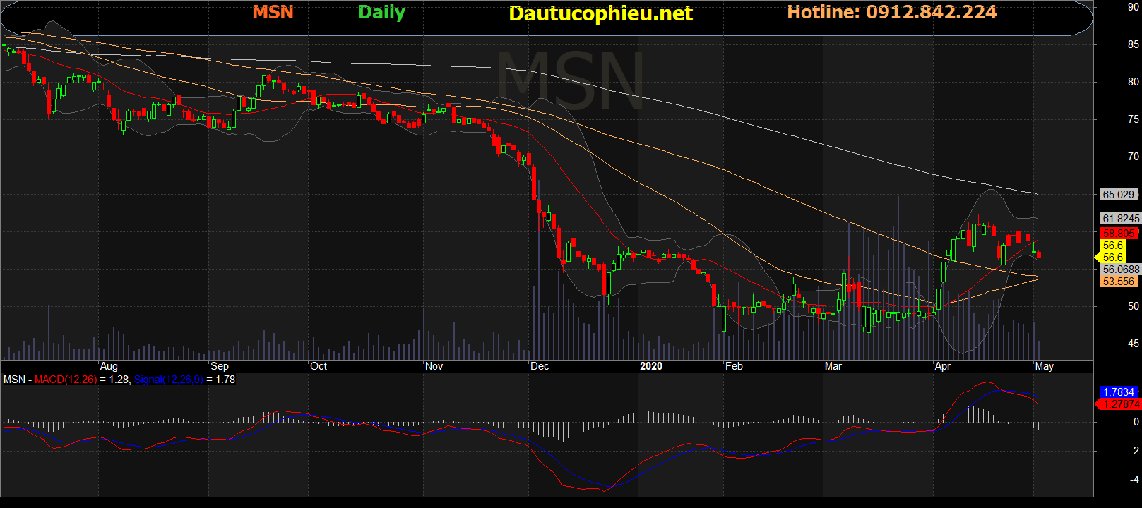 Cổ phiếu MSN