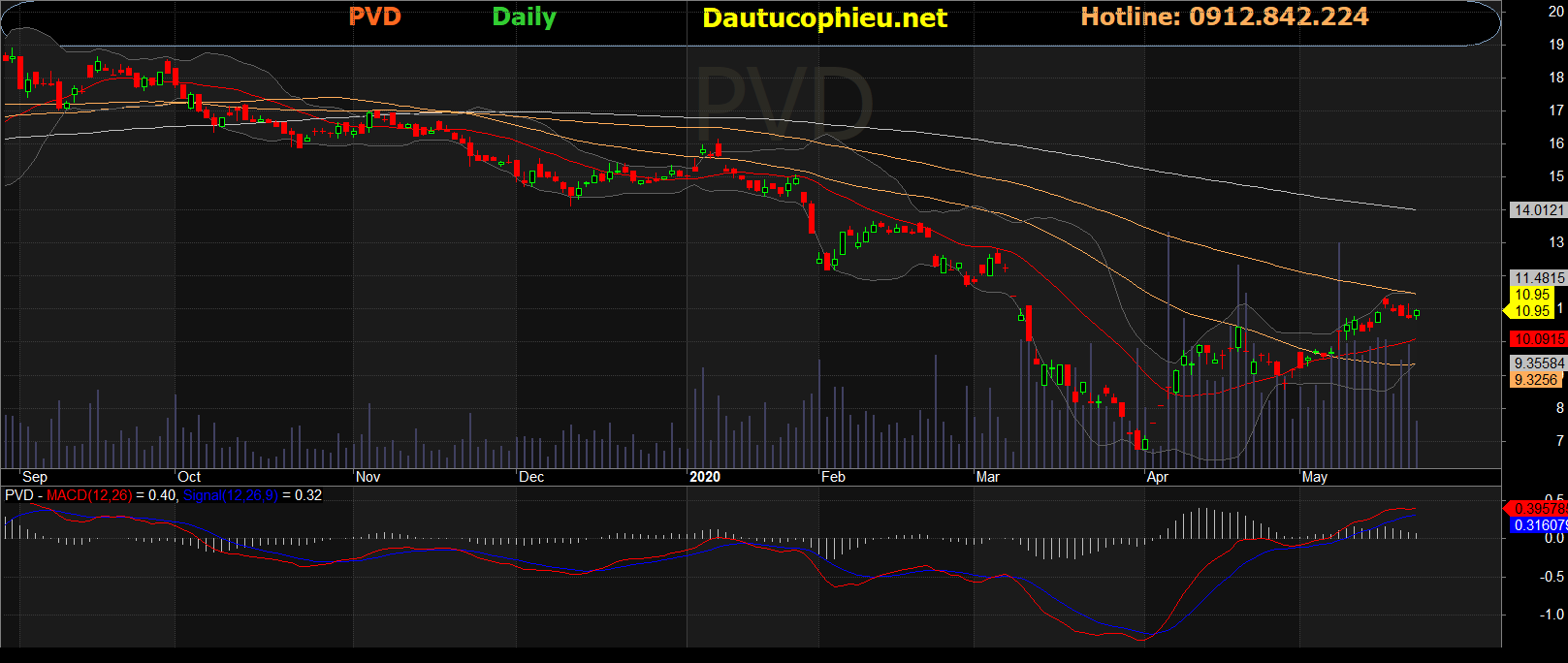 Cổ phiếu PVD