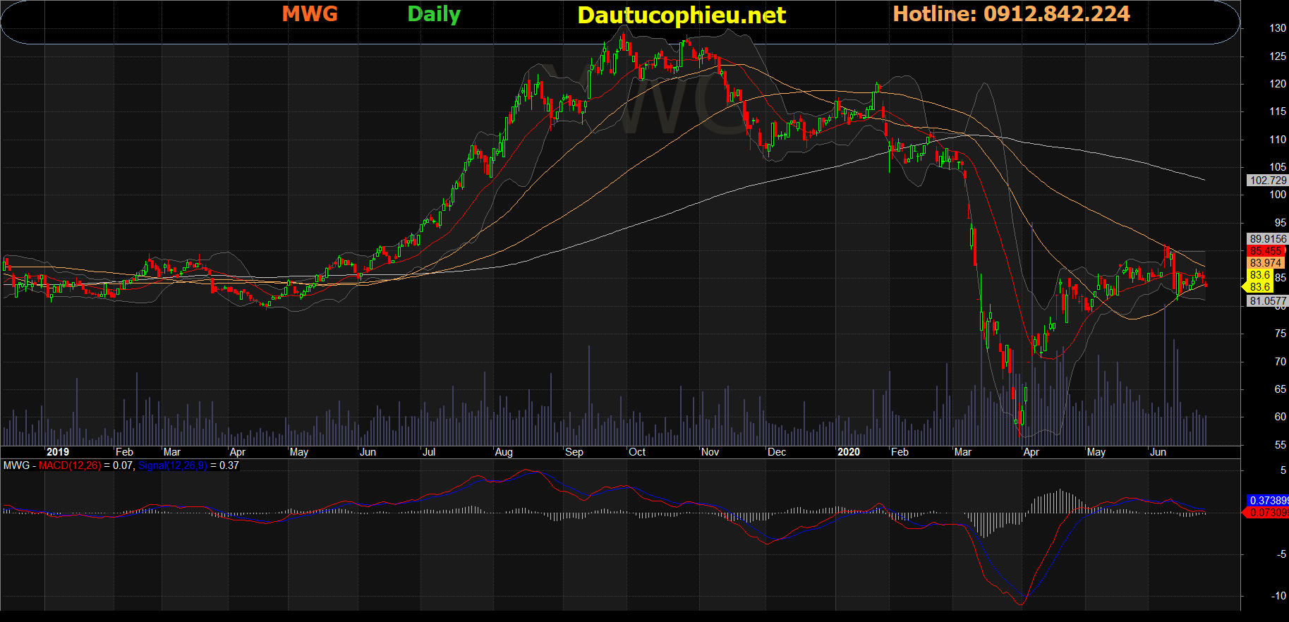 Cổ phiếu MWG