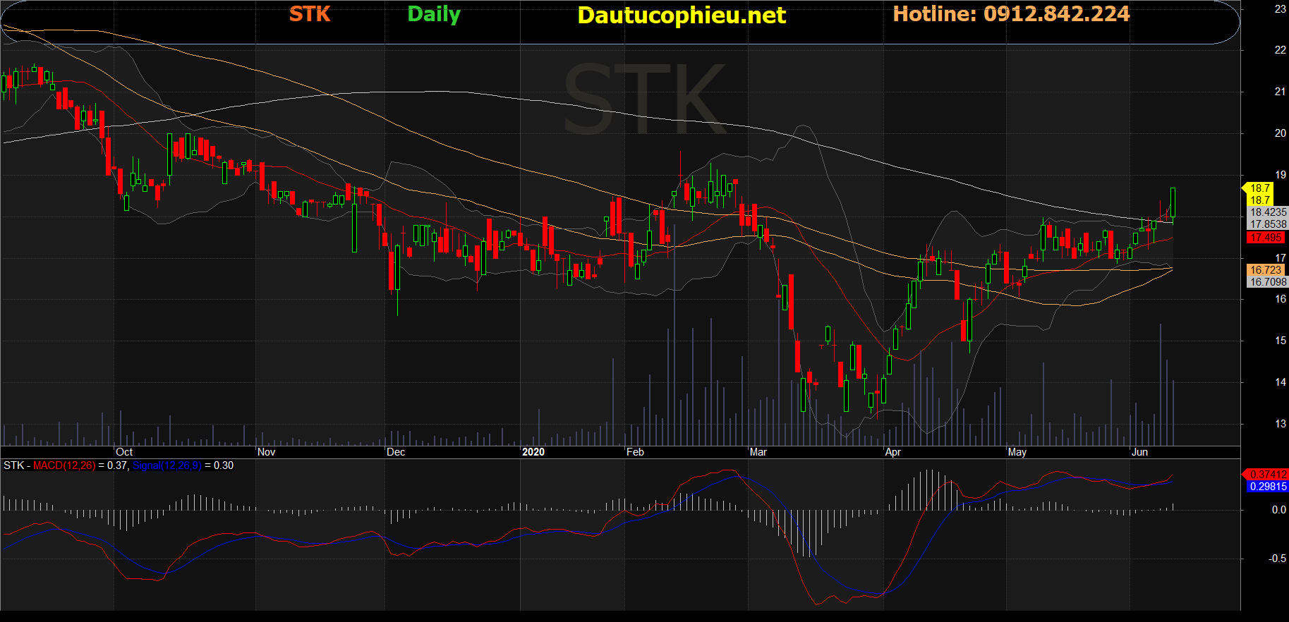 Cổ phiếu STK