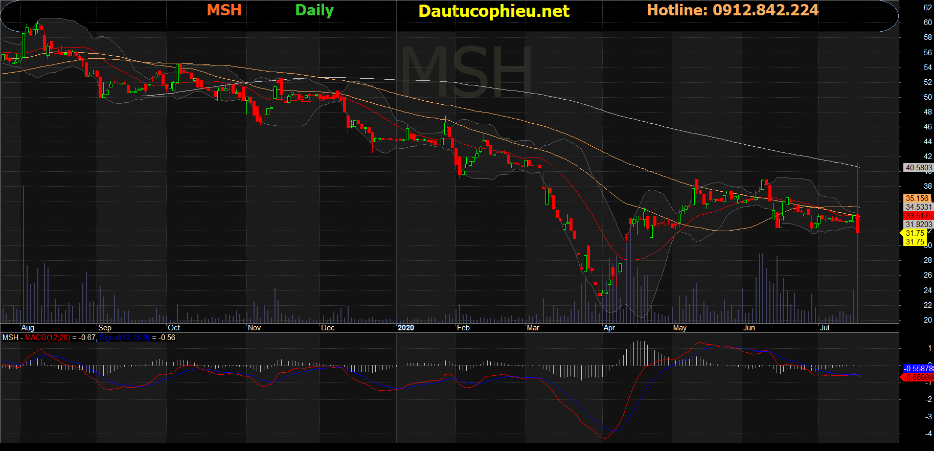 Cổ phiếu MSH