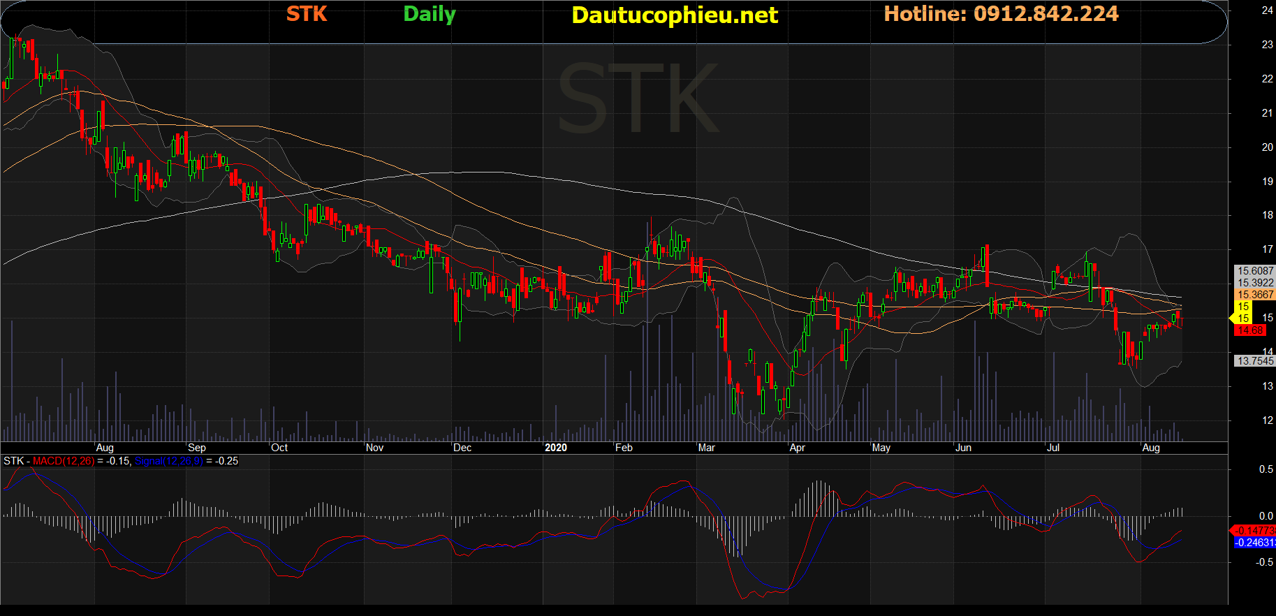 Cổ phiếu STK