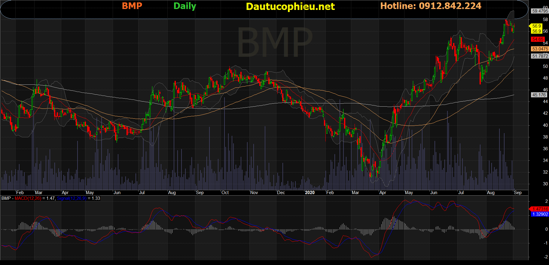 Cổ phiếu BMP